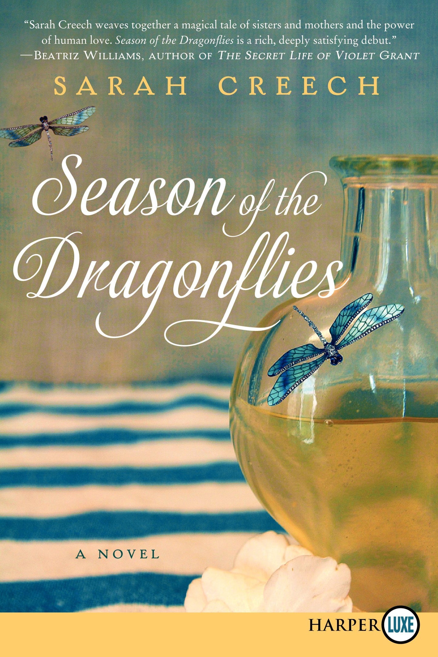 Season of the Dragonflies: An Enchanting Family Saga of Practical Magic, Sisters, and Mountain Secrets