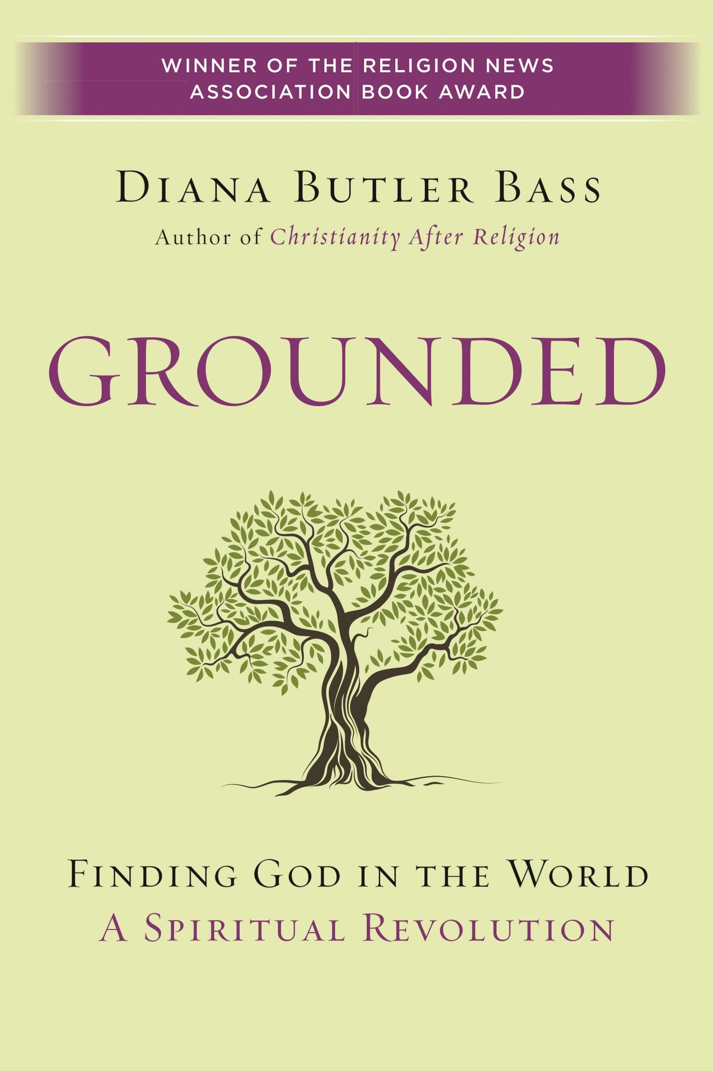 Grounded: Finding God in the World-A Spiritual Revolution - 719