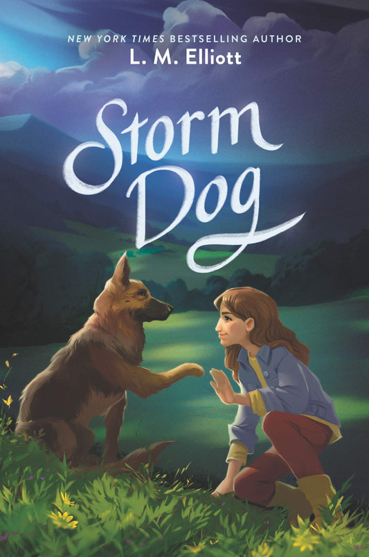 Storm Dog: An Affirming Middle Grade Story of Music, Family, and Belonging in the Blue Ridge Mountains