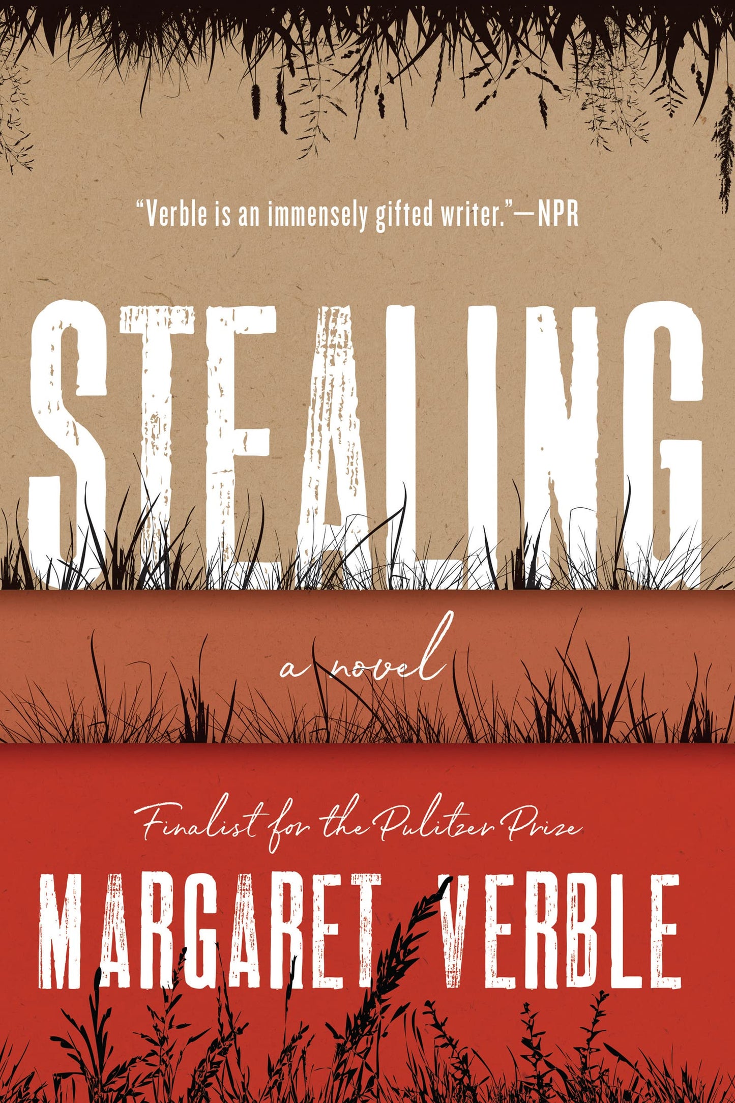 Stealing: An Acclaimed Own Voices Coming-of-Age Story – A Cherokee Girl's Boarding School Survival