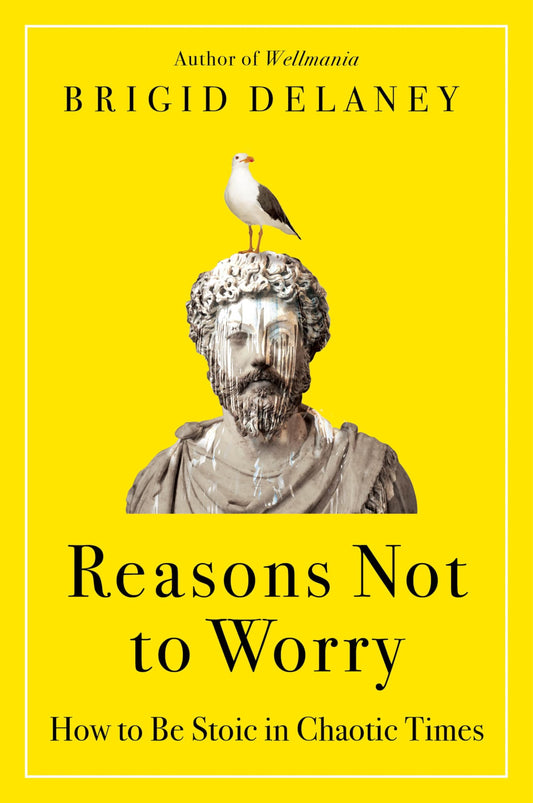 Reasons Not to Worry: How to Be Stoic in Chaotic Times―A Practical Guide to Stoicism for Self-Improvement and Personal Growth - 5931