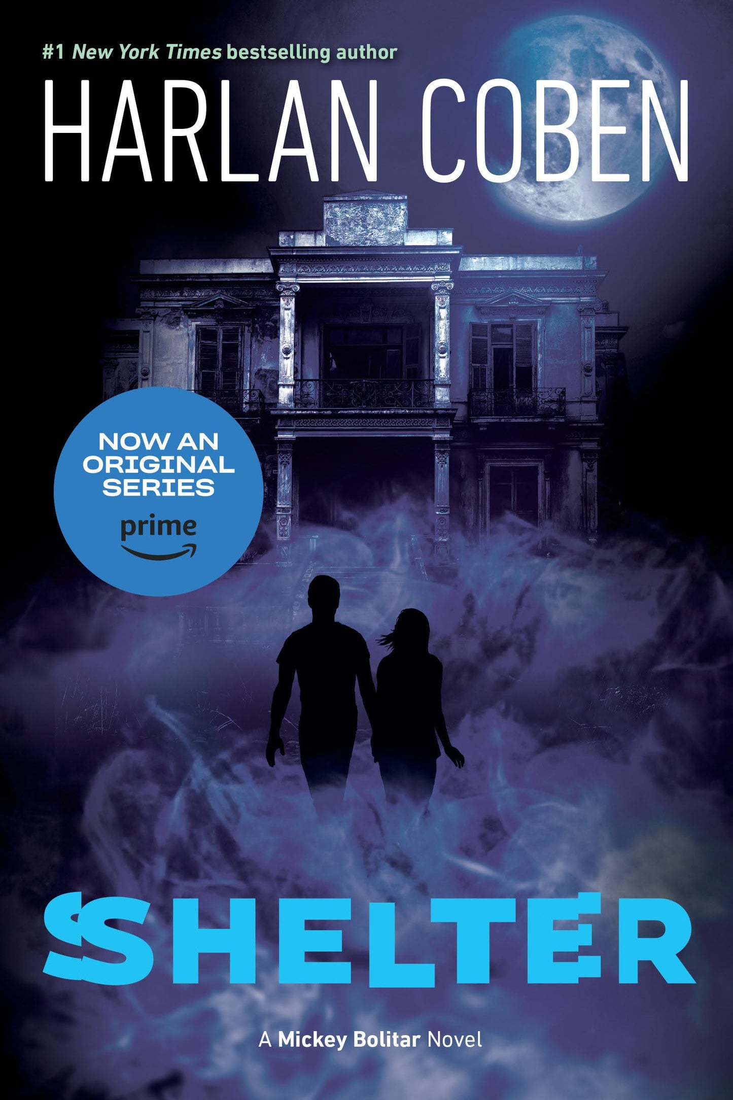 Shelter (Book One): A Mickey Bolitar Novel - 3853
