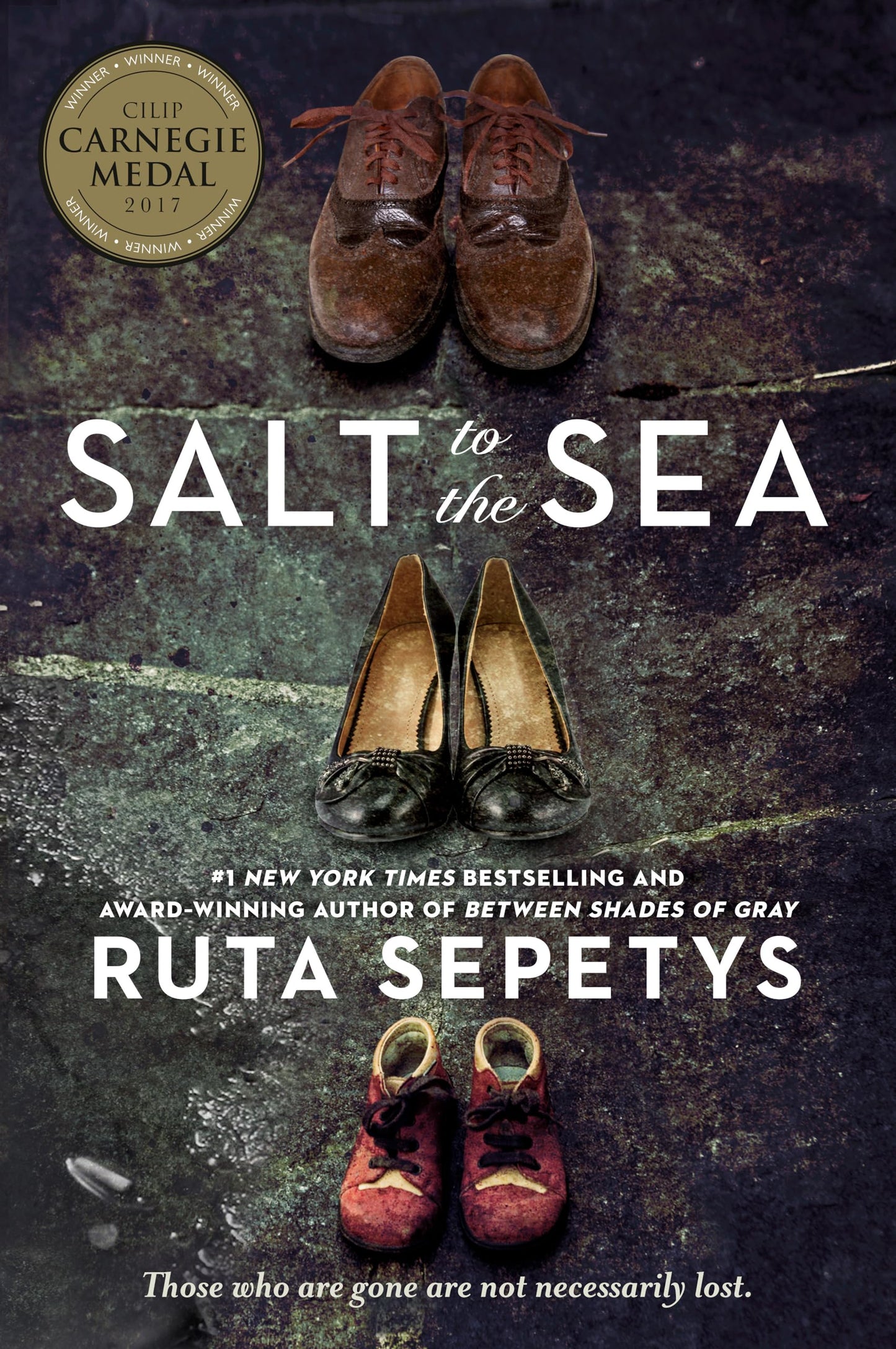 Salt to the Sea - 8297