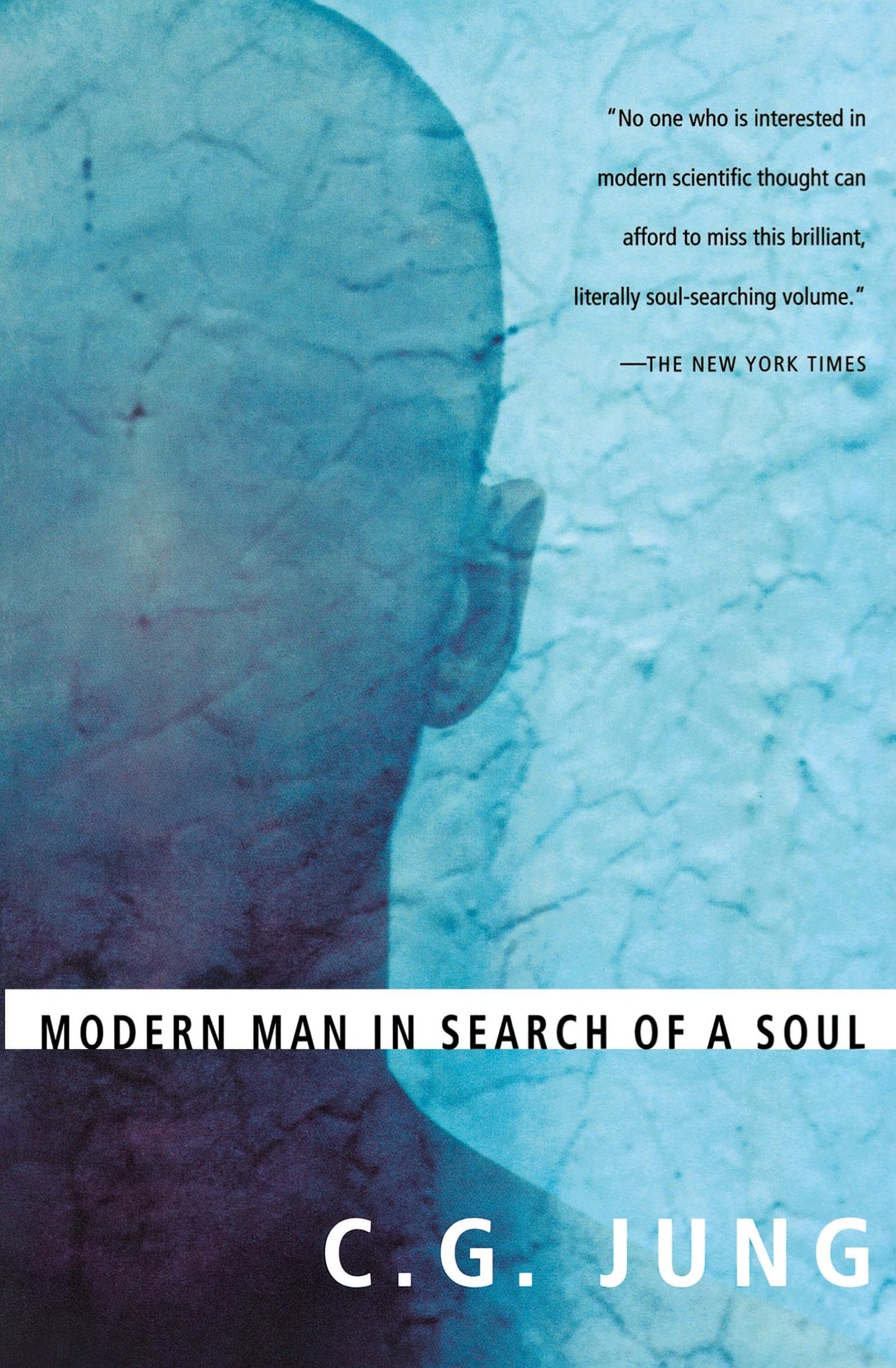 Modern Man In Search Of A Soul (Harvest Book)
