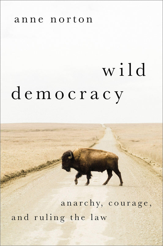 Wild Democracy: Anarchy, Courage, and Ruling the Law (HERETICAL THOUGHT SERIES)