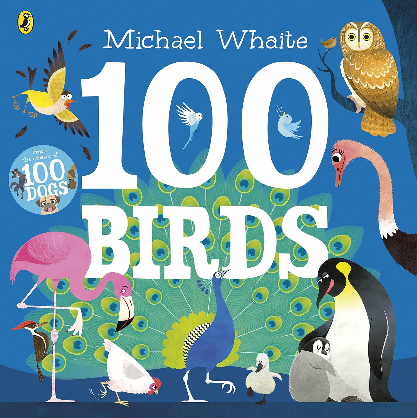 100 Birds - 6461