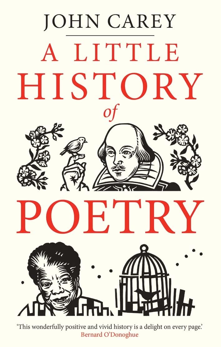A Little History of Poetry (Little Histories) - 2551