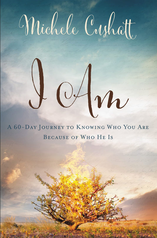 I Am: A 60-Day Journey to Knowing Who You Are Because of Who He Is - 3458