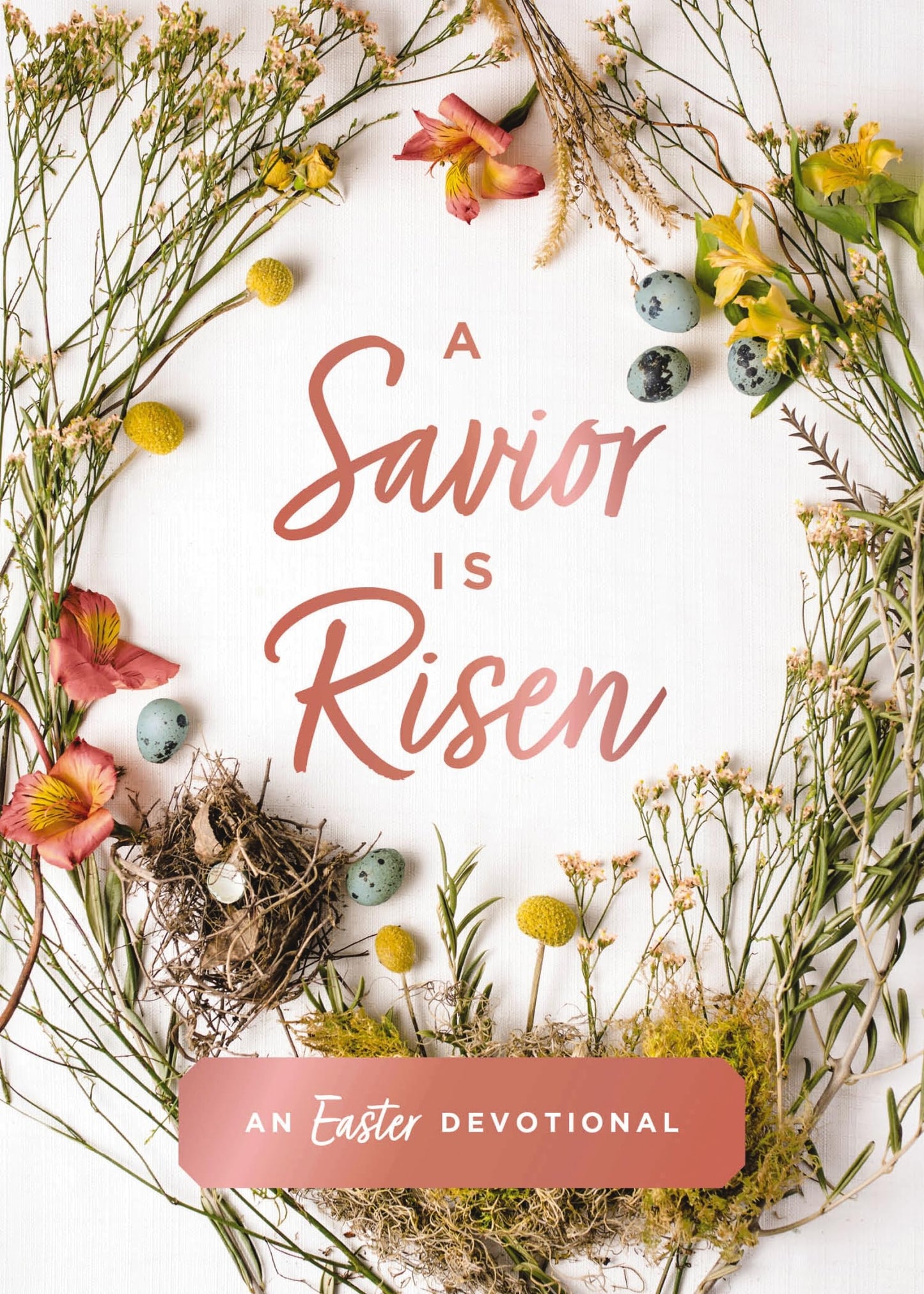 A Savior Is Risen: An Easter Devotional (40 Daily Devotions for Lent) - 9541