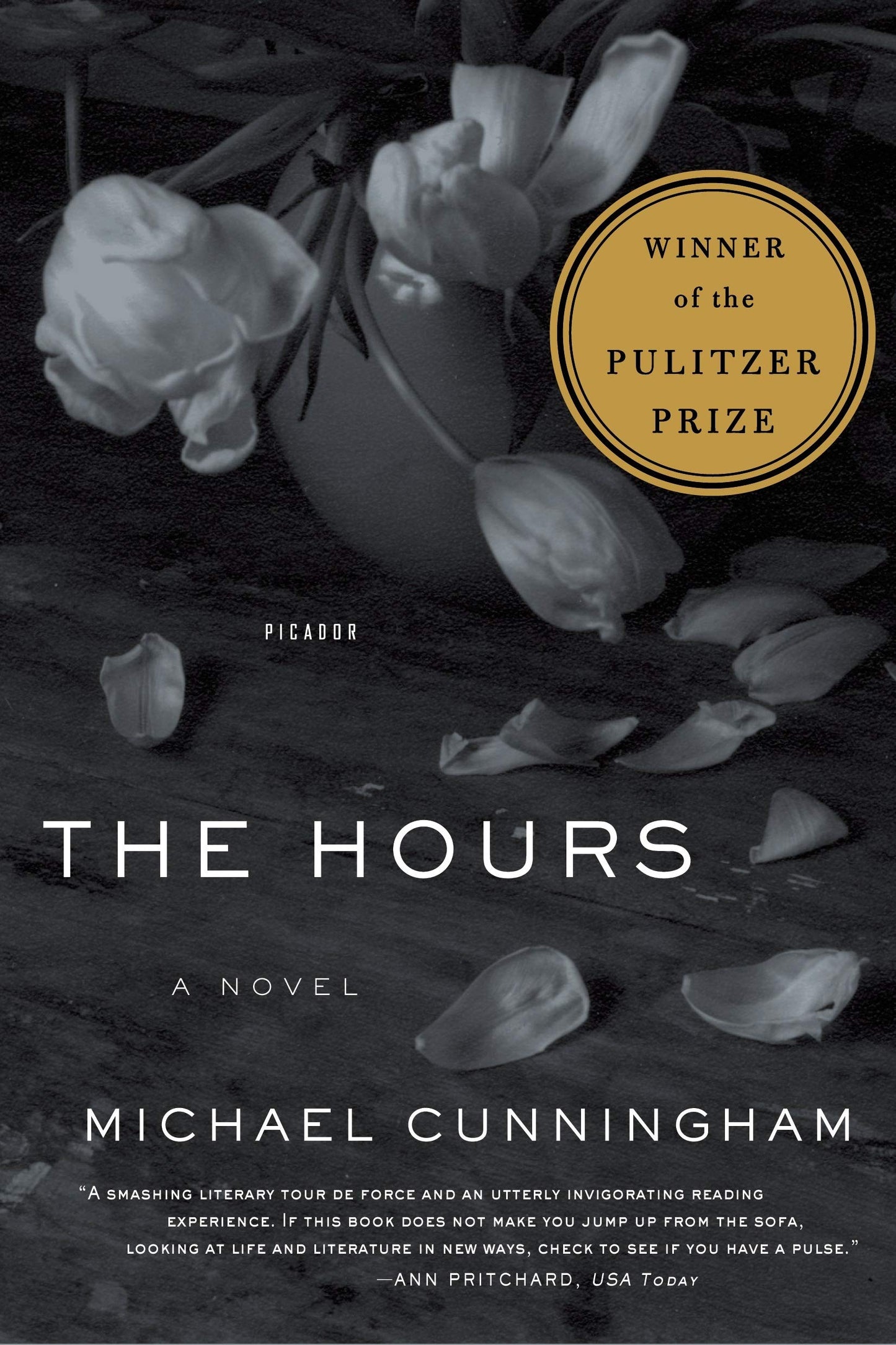 Hours, The (Picador Modern Classics)
