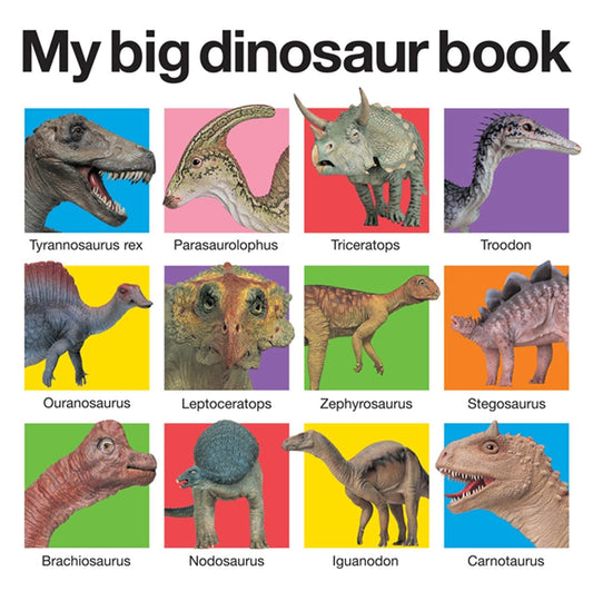 My Big Dinosaur Book (My Big Board Books) - 7618