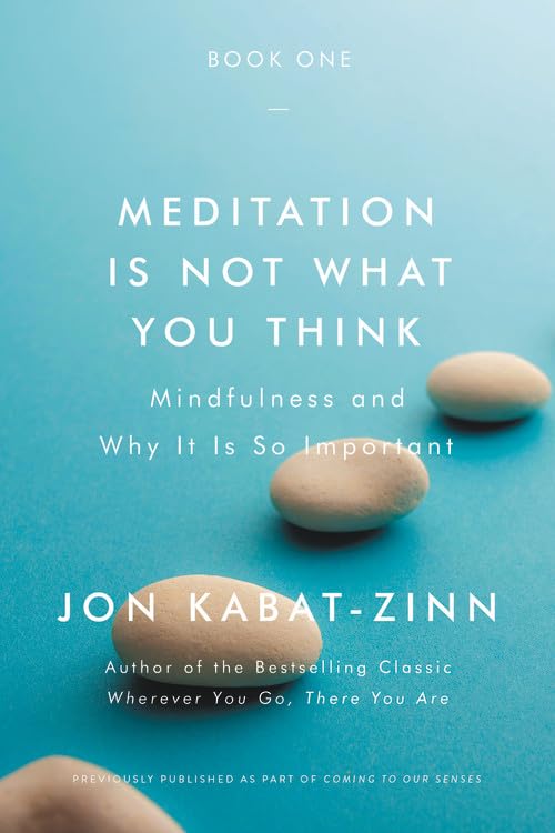 Meditation Is Not What You Think: Mindfulness and Why It Is So Important - 1526