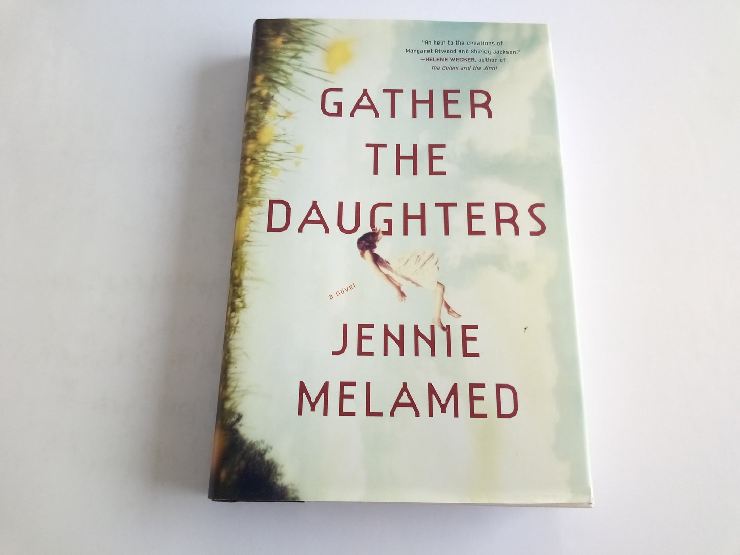 Gather the Daughters: A Novel - 3029