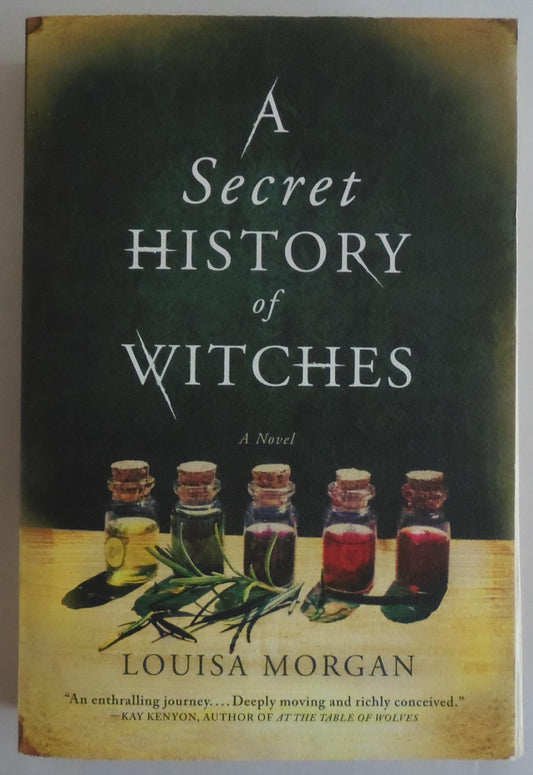 A Secret History of Witches: A Novel - 8911