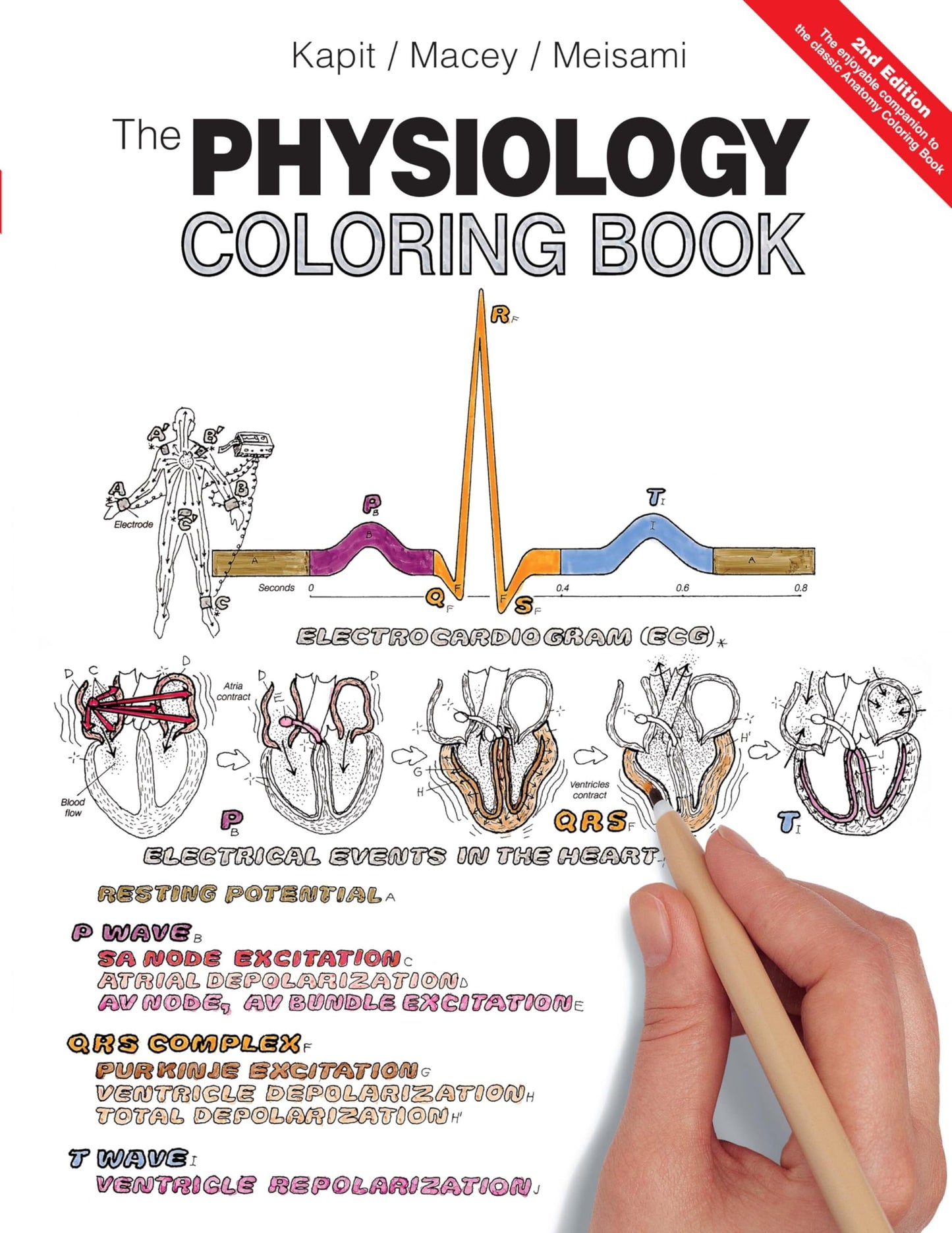 Physiology Coloring Book, The - 1302