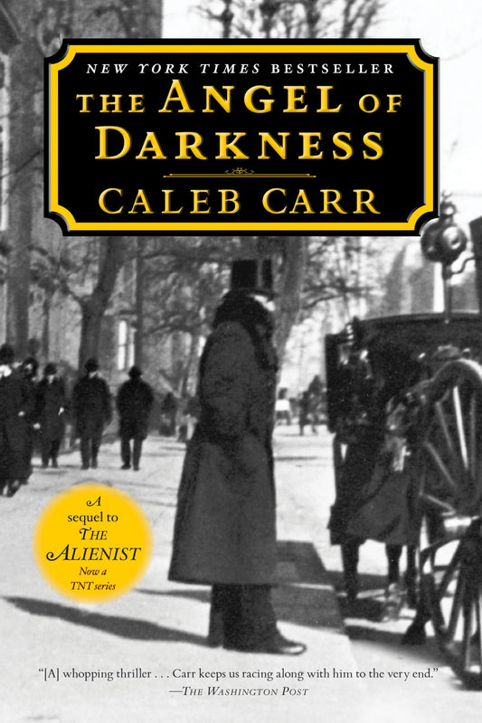 The Angel of Darkness: Book 2 of the Alienist: A Novel (Dr. Laszlo Kreizler) - 4153