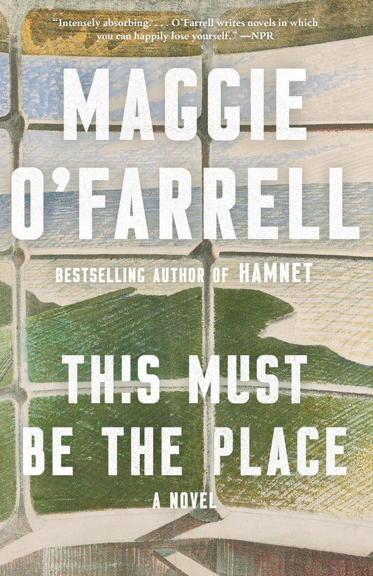 This Must Be the Place (Vintage Contemporaries) - 8812