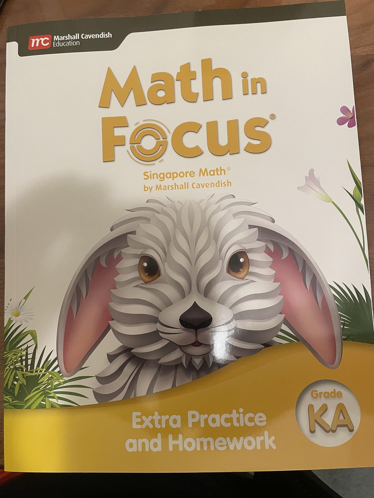 Extra Practice and Homework Volume A Grade K (Math in Focus)