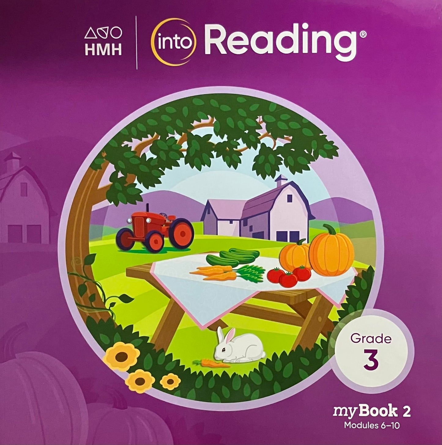 Student Mybook Grade 3 (Into Reading, 2) - 2620