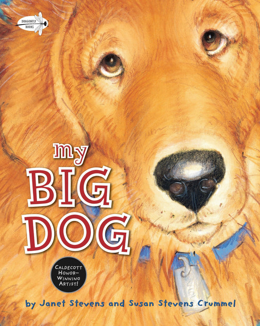 My Big Dog (A Golden Classic) - 3055