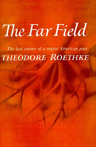The Far Field