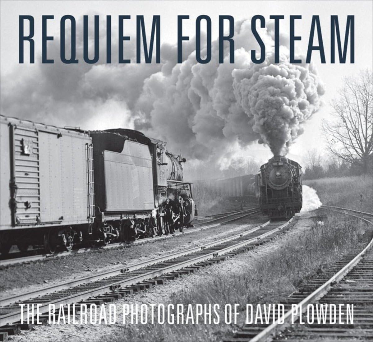 Requiem for Steam: The Railroad Photographs of David Plowden - 9219