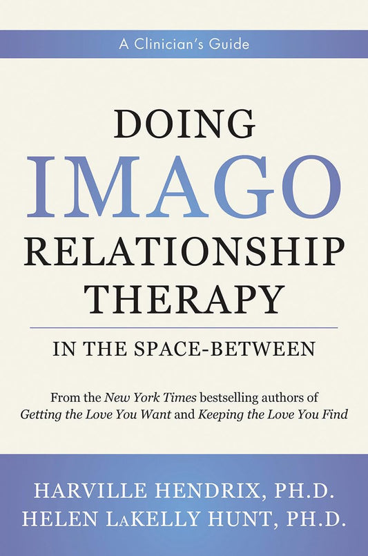 Doing Imago Relationship Therapy in the Space-Between: A Clinician's Guide - 8995