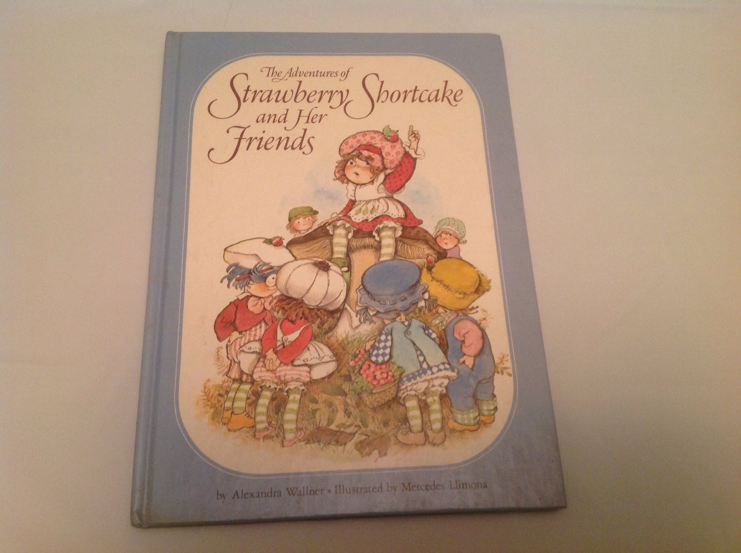 The adventures of Strawberry Shortcake and her friends