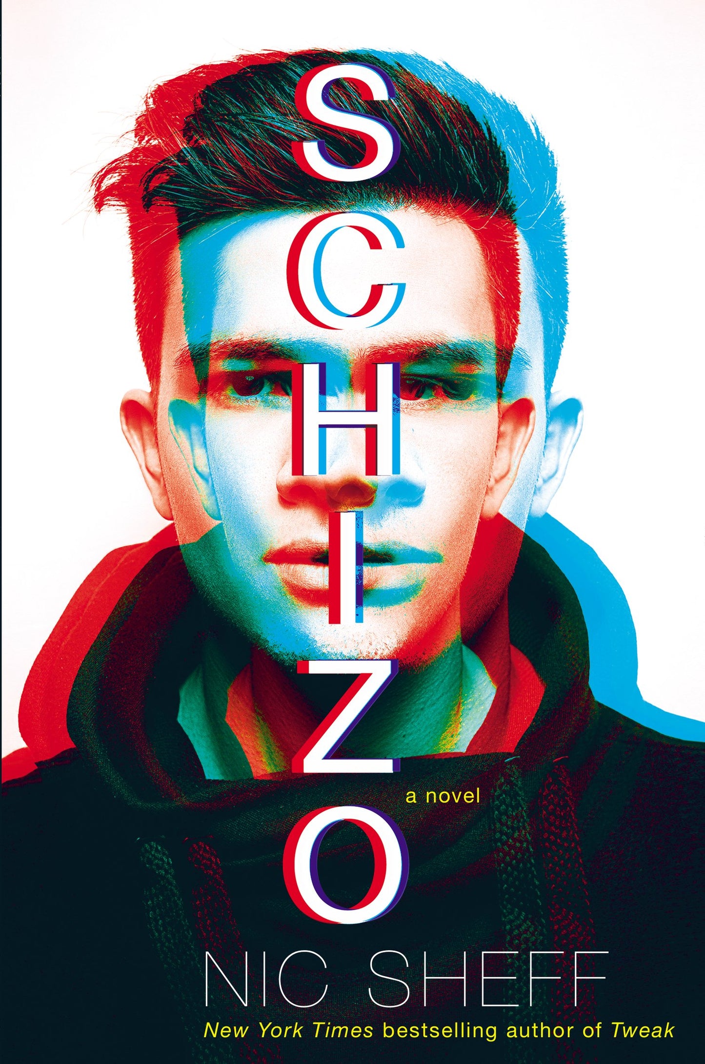 Schizo: A novel