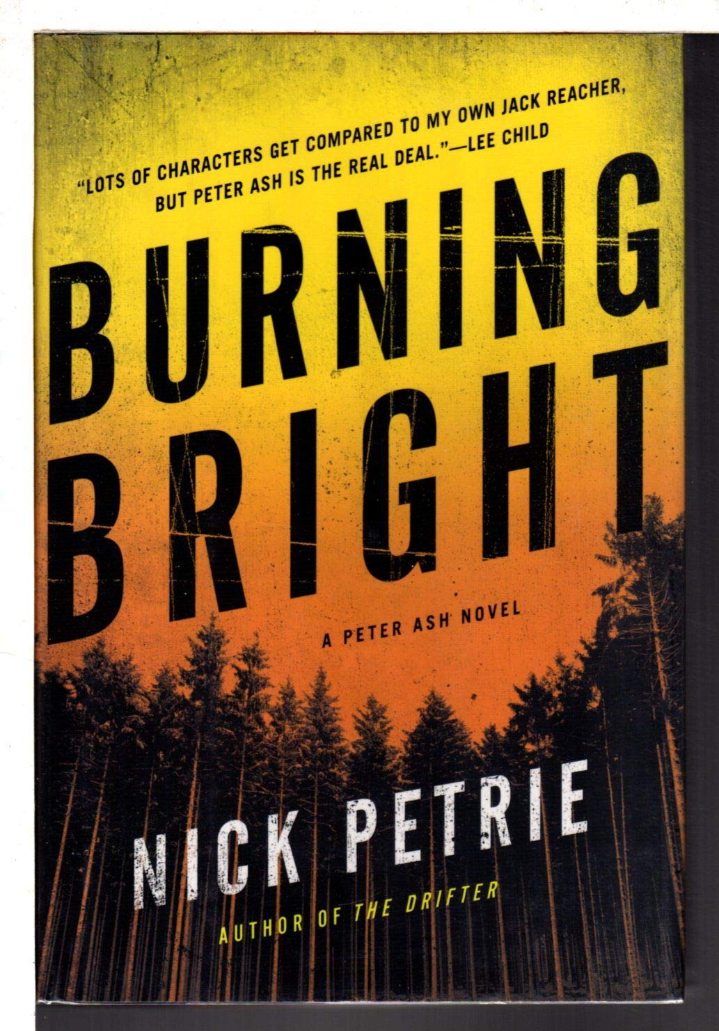 Burning Bright (A Peter Ash Novel) - 5461