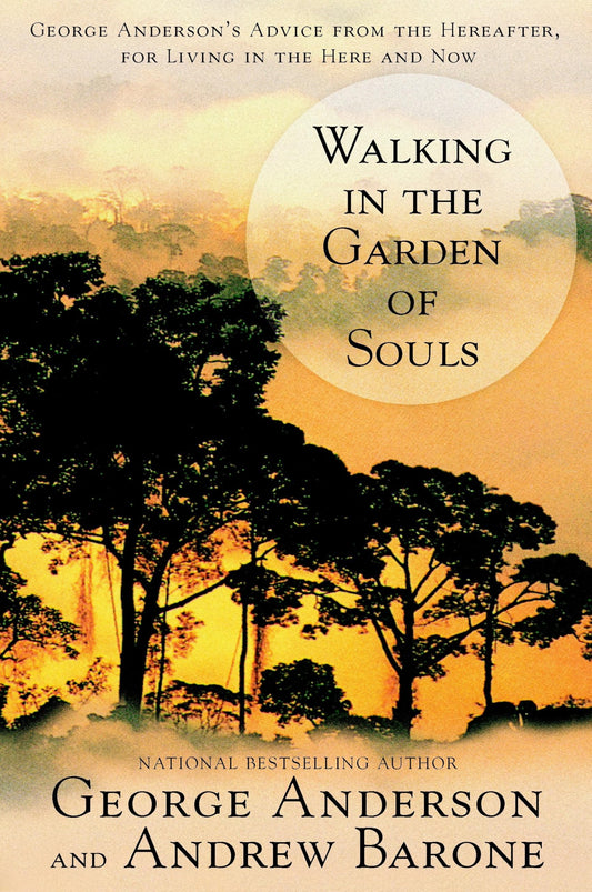 Walking in the Garden of Souls: George Anderson's Advice from the Hereafter for Living in he Here and Now
