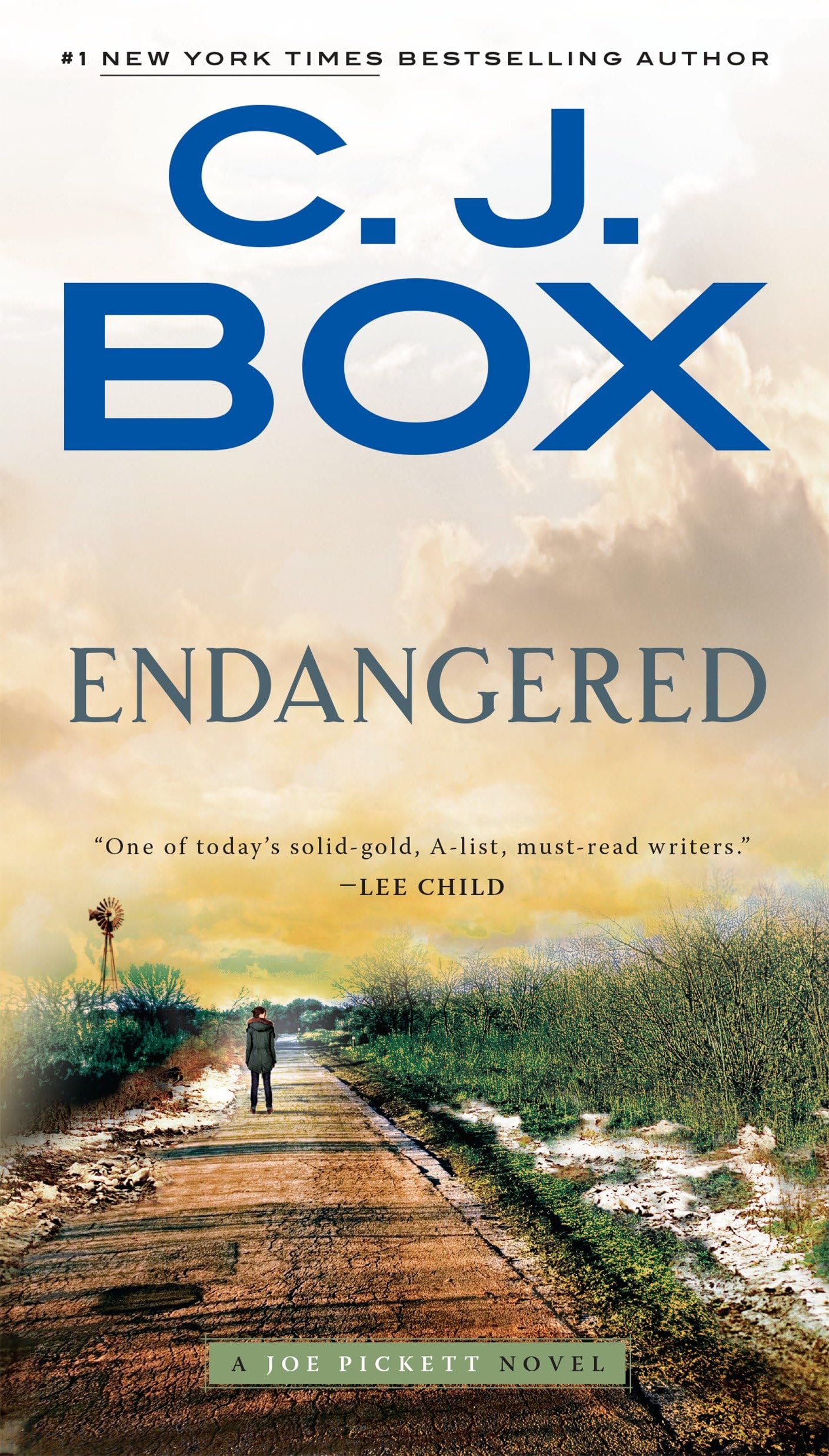 Endangered (A Joe Pickett Novel) - 4042