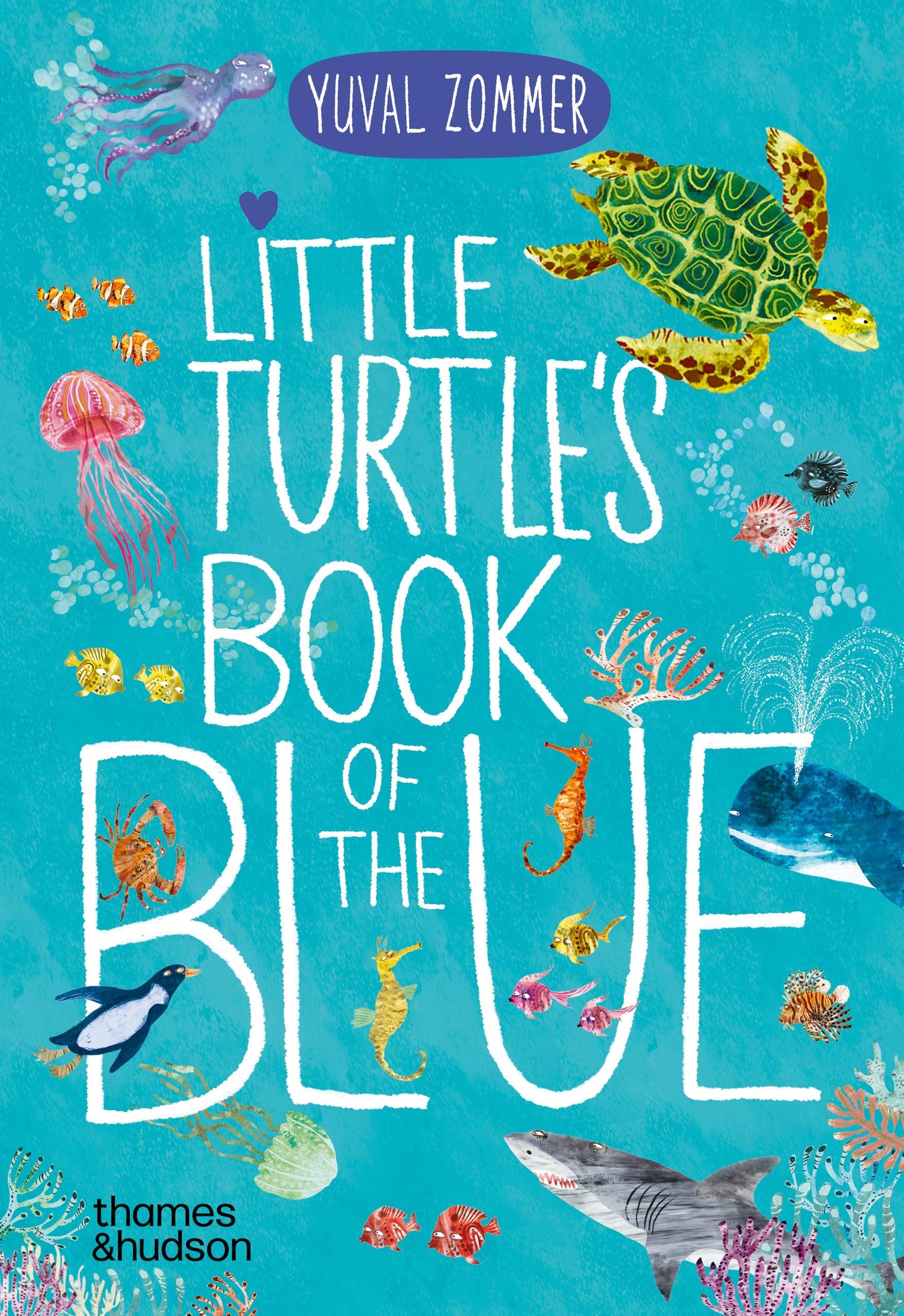 Little Turtle's Book of the Blue (Big Book of...)