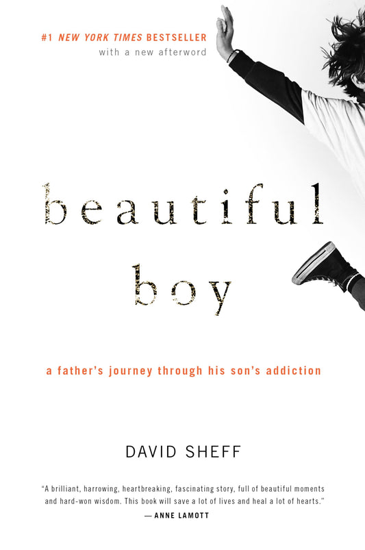 Beautiful Boy: A Heartbreaking Story of a Father’s Love, Addiction, and the Fight to Save His Son