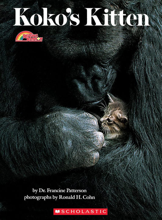 Koko's Kitten (Rise and Shine) - 5642