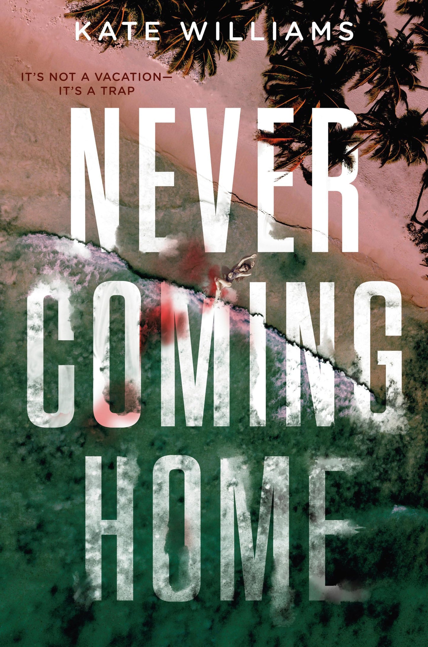 Never Coming Home - 4318