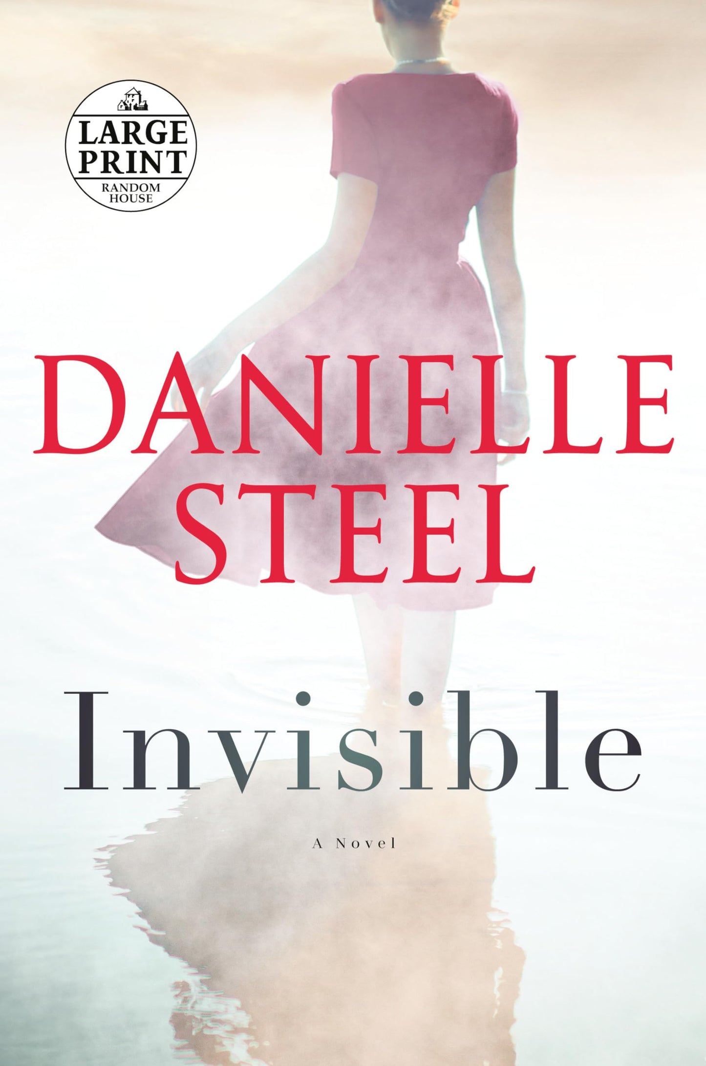 Invisible: A Novel (Random House Large Print)