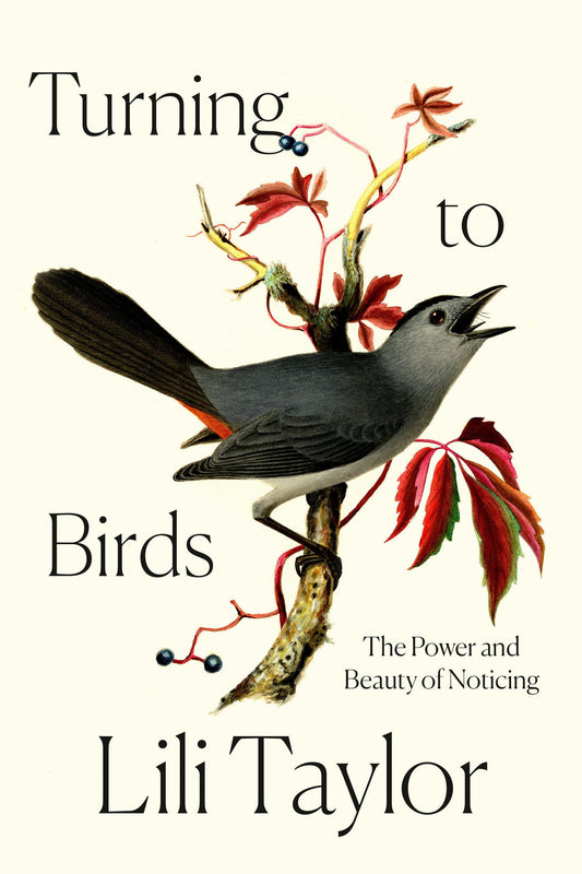 Turning to Birds: The Power and Beauty of Noticing - 1562