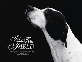 In the Field:A Photographer's Journey with Sporting Dogs - 3570