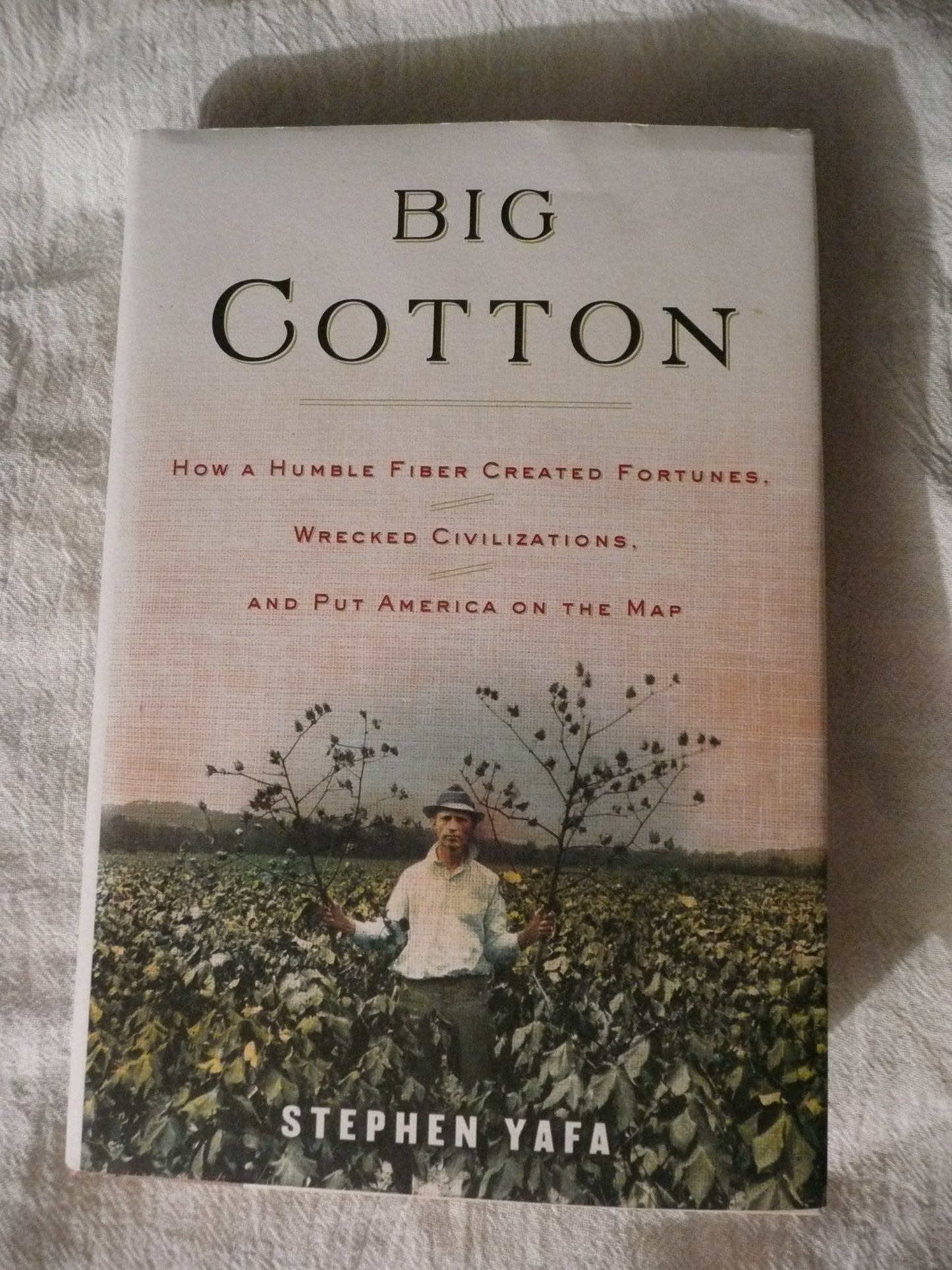 Big Cotton: How A Humble Fiber Created Fortunes, Wrecked Civilizations, and Put America on the Map