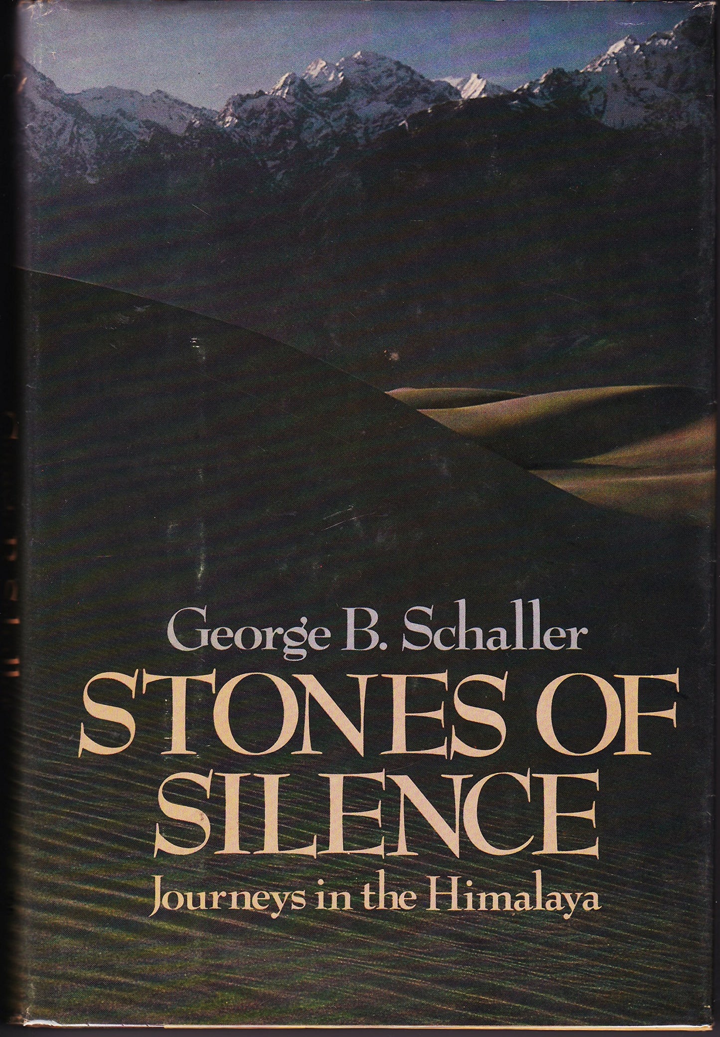 Stones of Silence: Journeys in the Himalaya