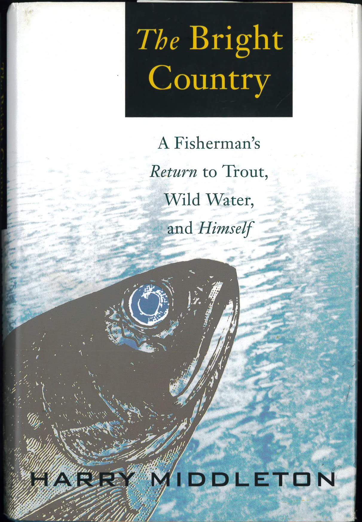 The Bright Country: A Fisherman's Return to Trout, Wild Water, and Himself