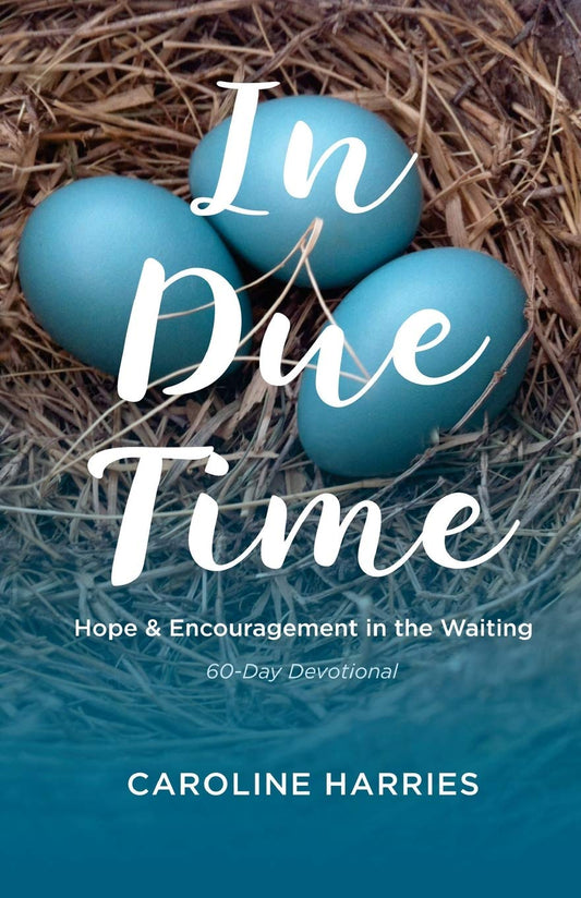 In Due Time: Hope and Encouragement in the Waiting - 9197
