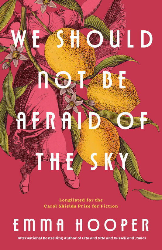 We Should Not Be Afraid of the Sky - 3257