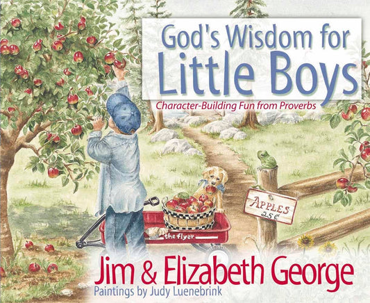 God's Wisdom for Little Boys: Character-Building Fun from Proverbs - 9184