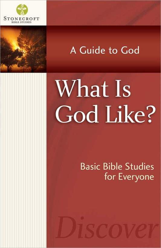 What Is God Like? (Stonecroft Bible Studies) - 286