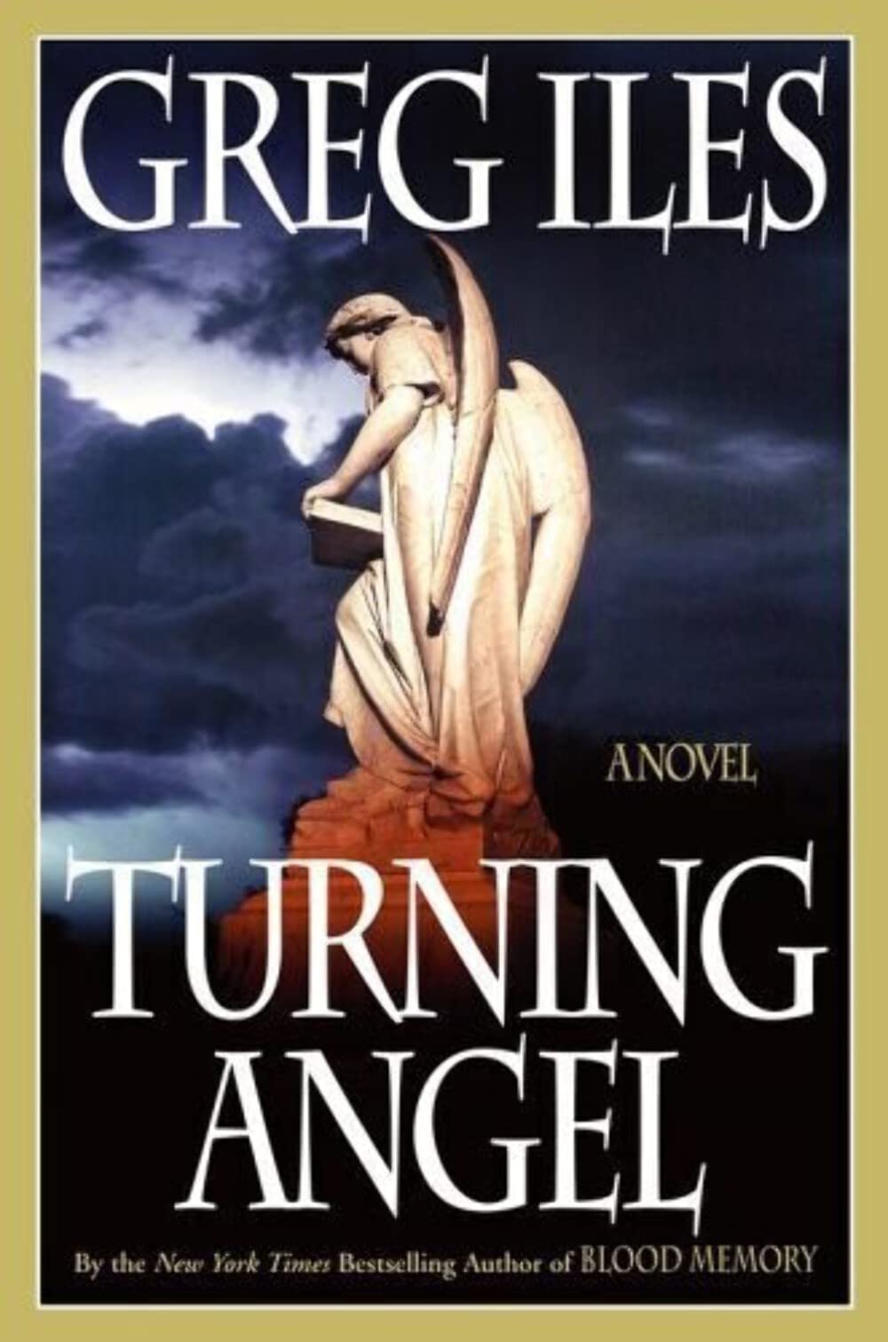 Turning Angel: A Novel - 4696