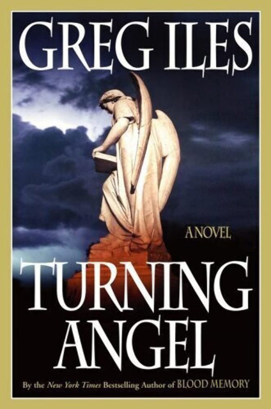 Turning Angel: A Novel - 4696