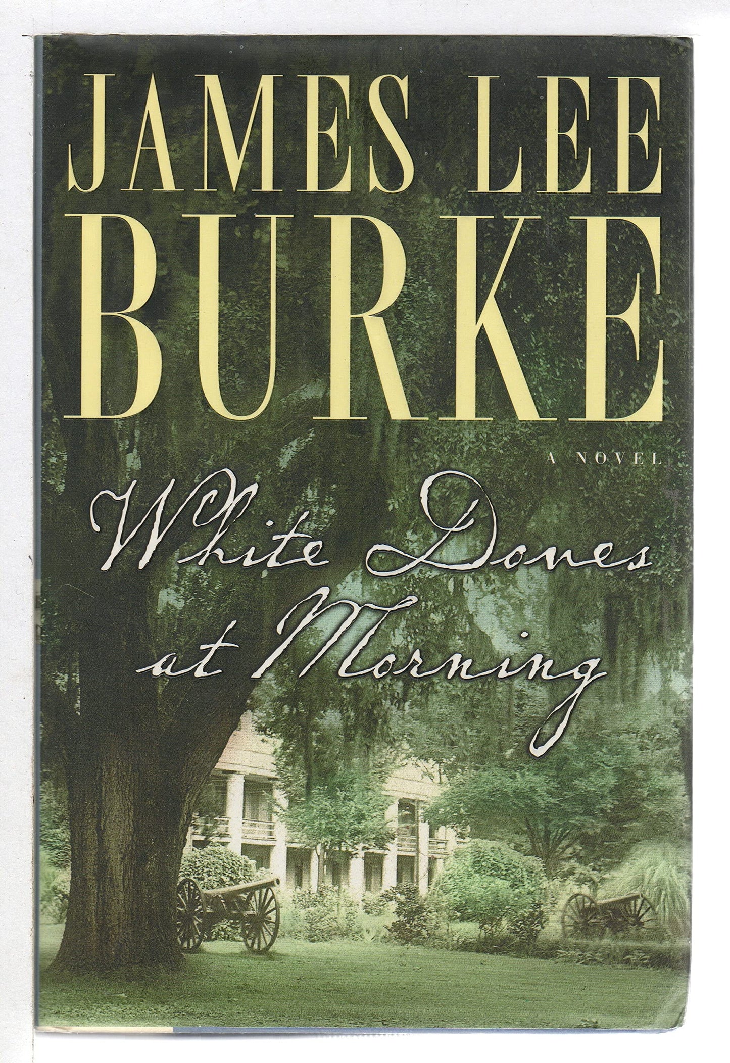 White Doves at Morning - 8593