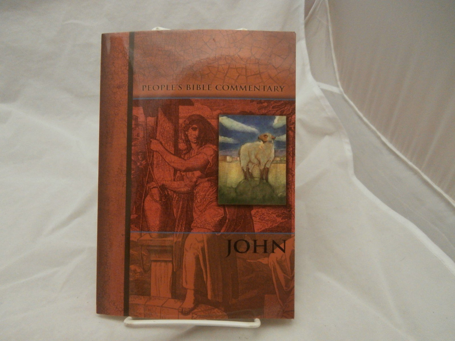 John (People's Bible Commentary)